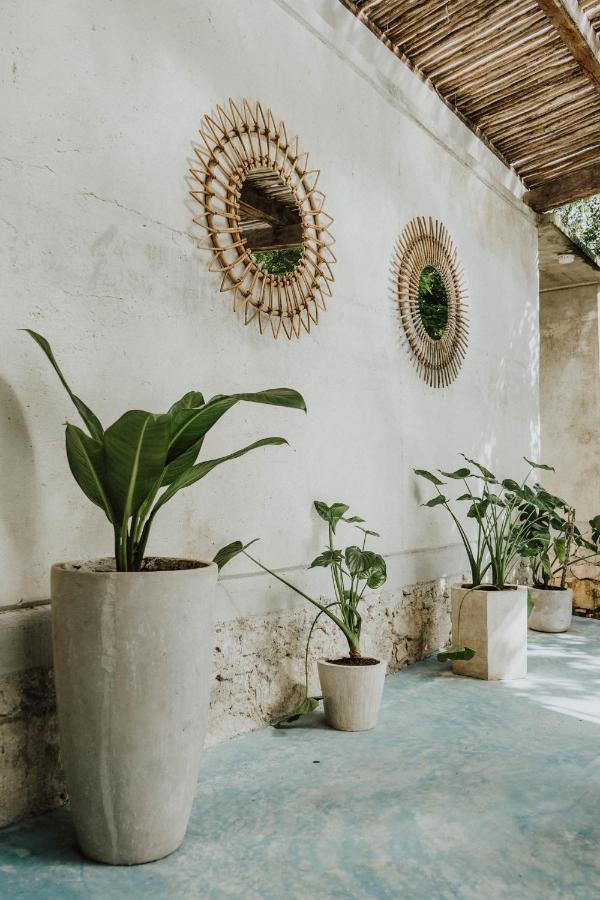 Bed and Breakfast Casa Chimi Tulum Exteriér fotografie
